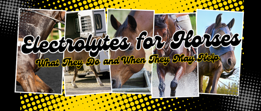 Electrolytes for Horses: What They Do and When They May Help