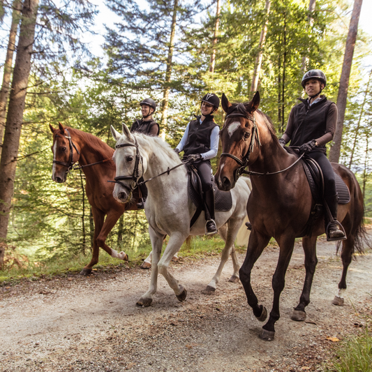 The Magic of Fall Trail Riding: The Gear You Want For The Best Ride Experience