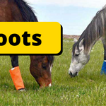 Fly Boots