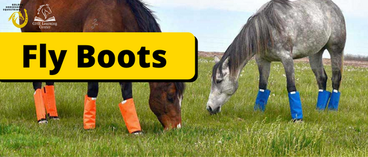 Fly Boots