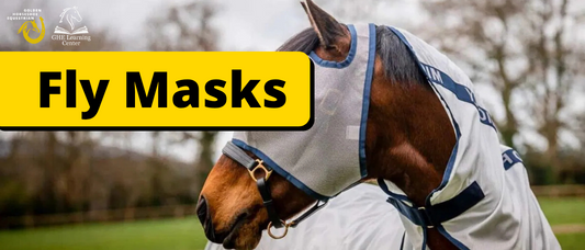 Fly Masks