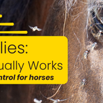 Horse Flies: What Actually Works
