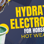 Hydration & Electrolytes for Horses in Hot Weather