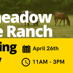 Spring Fling at Longmeadow Rescue Ranch: A Day of Fun, Horses, and Hope
