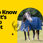 How to Know When It’s Time to Blanket