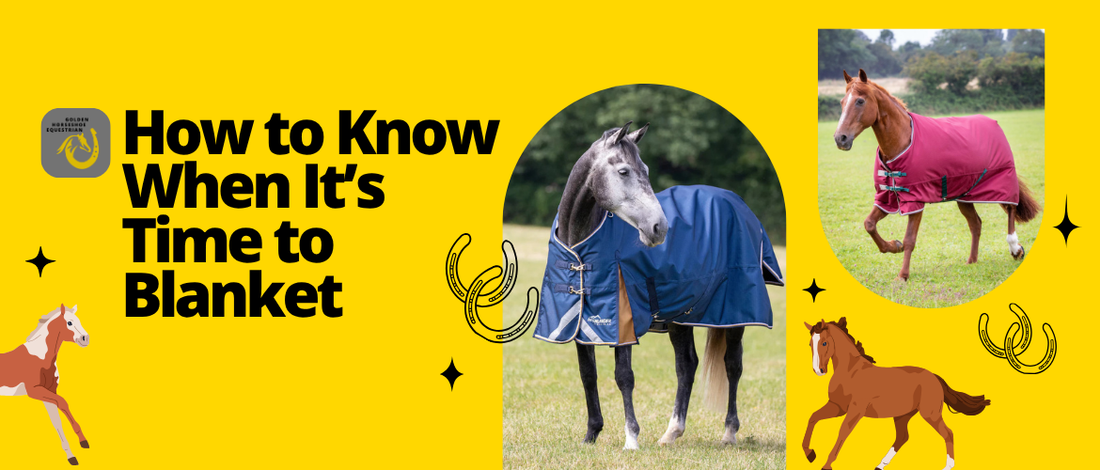 How to Know When It’s Time to Blanket