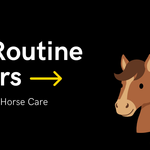 Why Routine Matters for Hot-Weather Horse Care