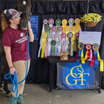 Congratulations Elizabeth on Her Show Wins!
