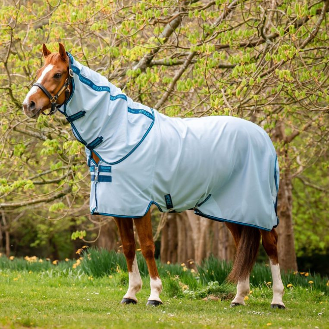 Fly Sheets