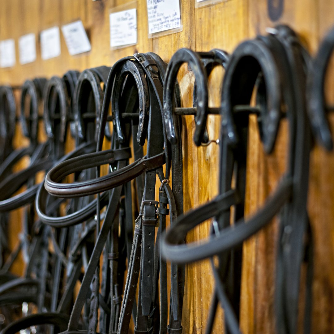 Not My First Rodeo - Consignment