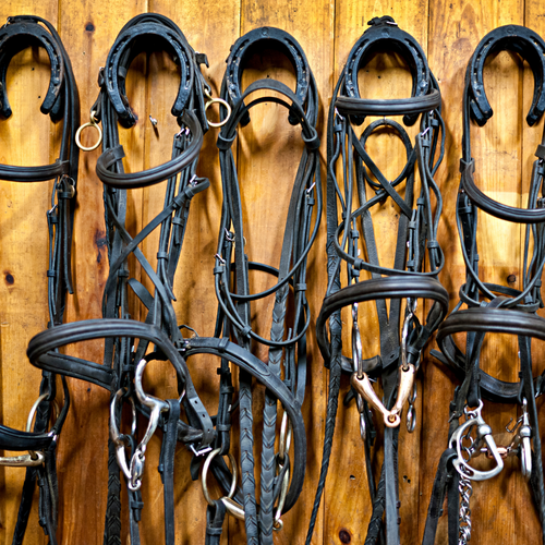 English Bridles