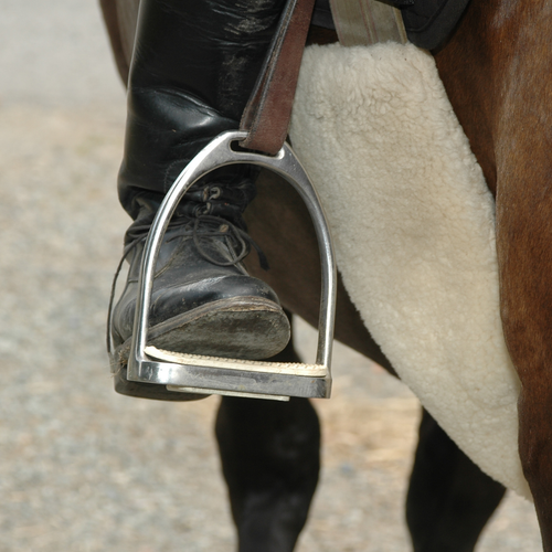 English Stirrups