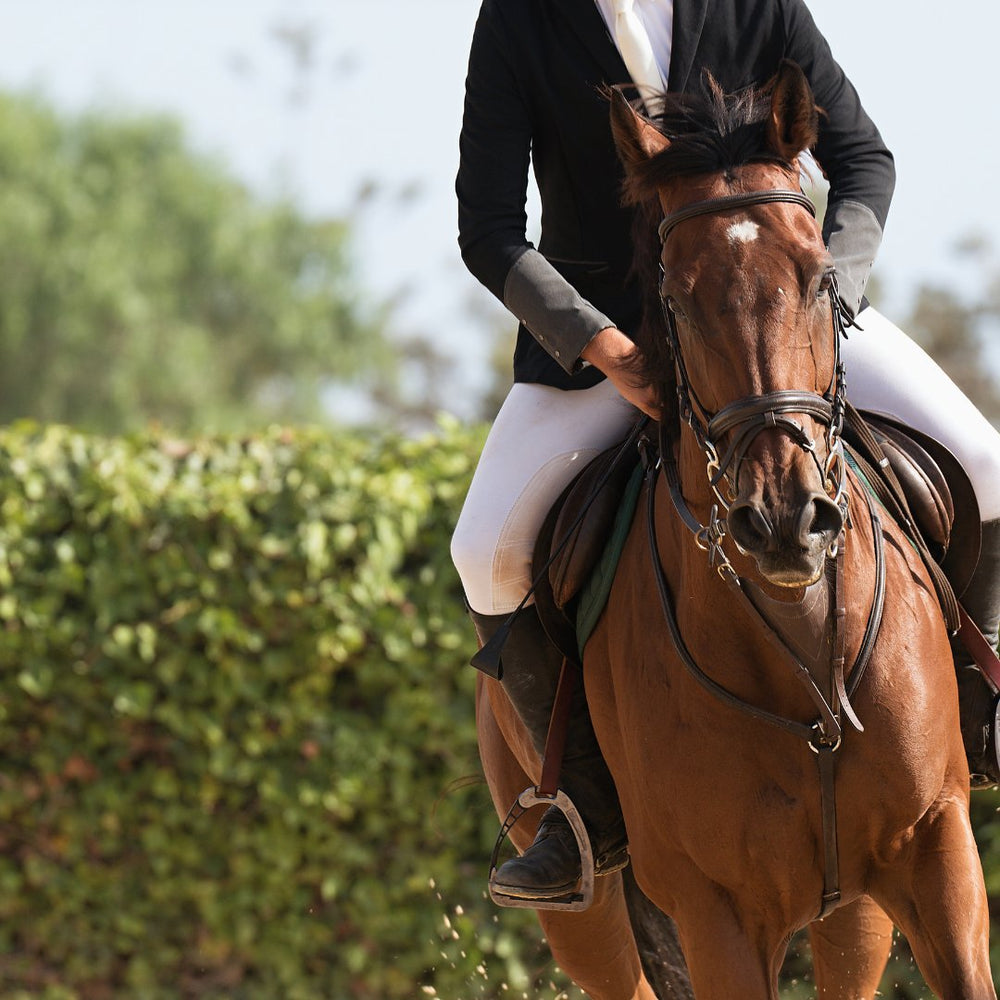 Golden Horseshoe Tack Golden Horseshoe Equestrian
