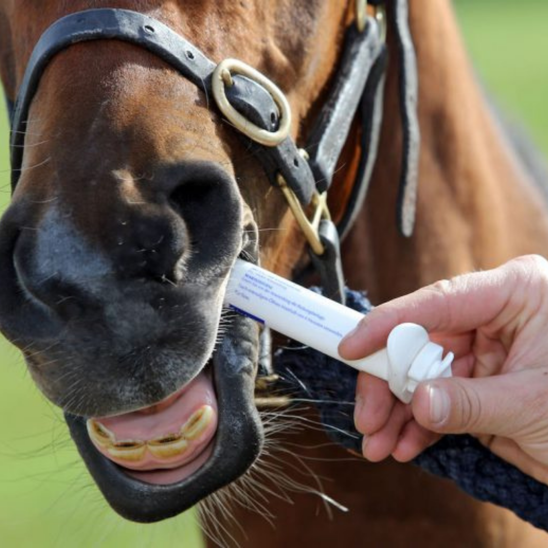 Dewormers