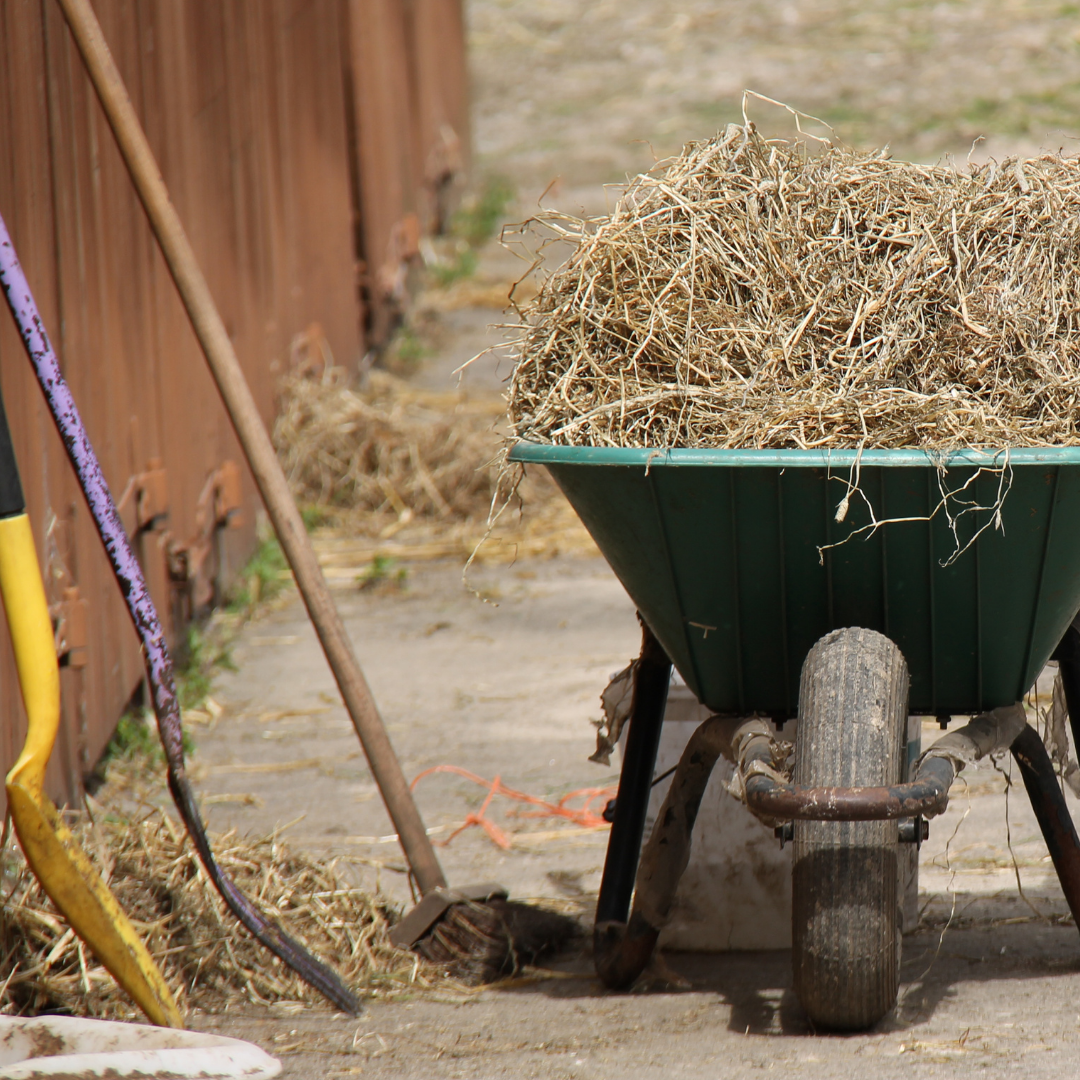Stable Supplies – Page 17 – Golden Horseshoe Equestrian