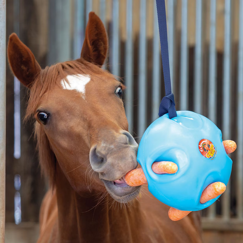 Horse Toys