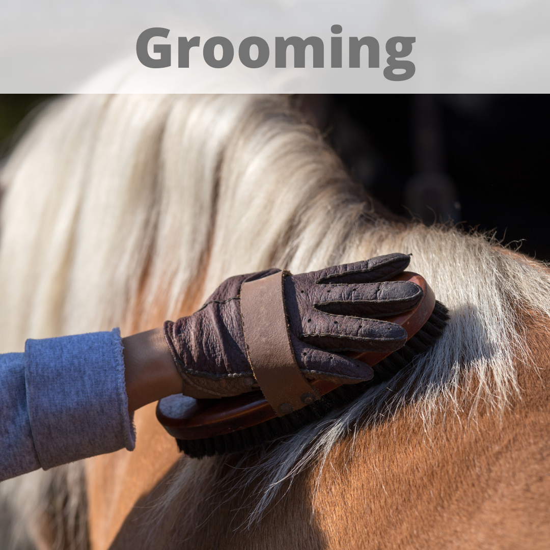 Grooming Tools
