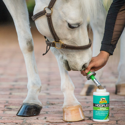 Hoof Care