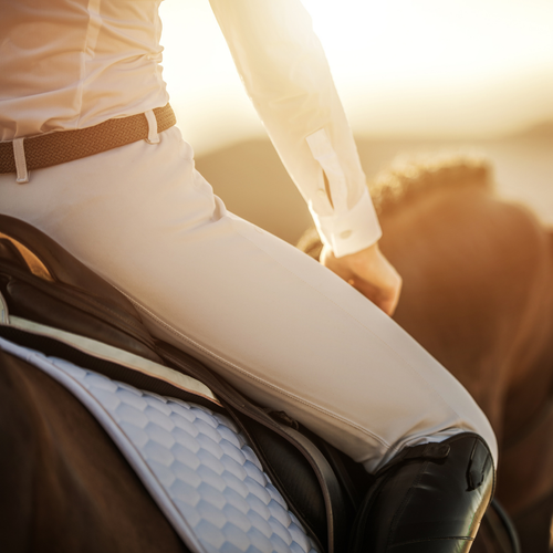 English Ladies Apparel