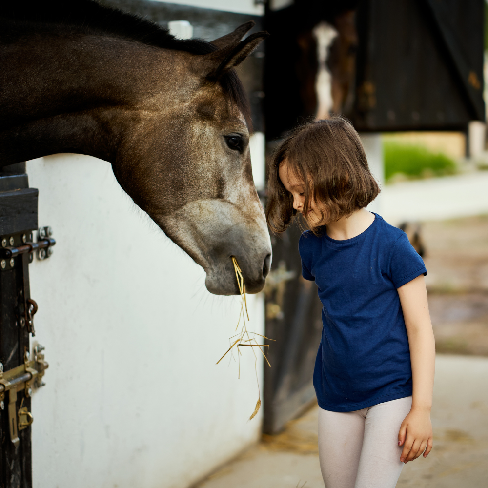 Gift Guide for the Horse Loving Kid
