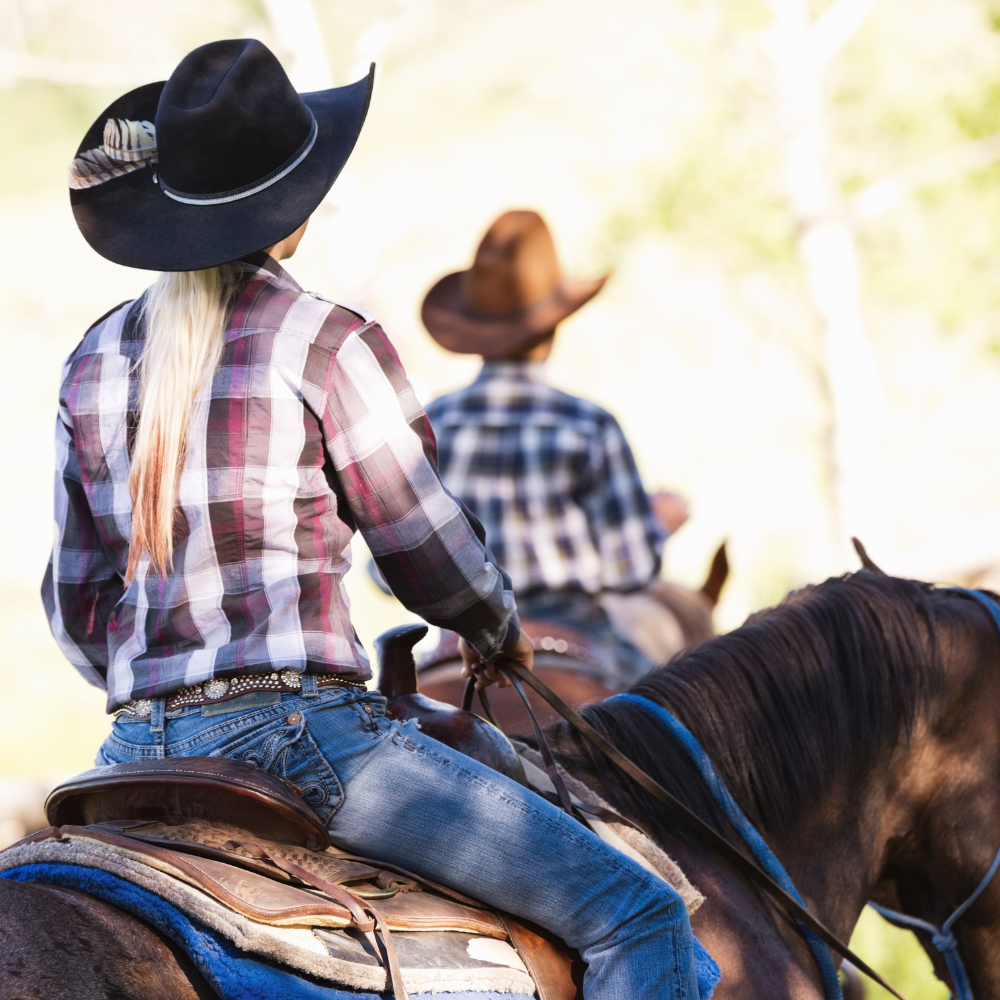 Gift Guide for the Western Friend