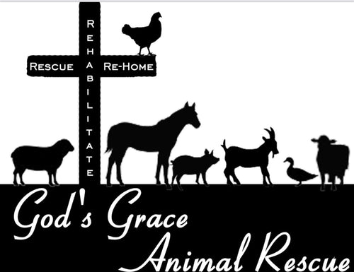God's Grace Animal Rescue Giving Tree Wishlist