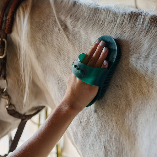 Top Grooming Gifts