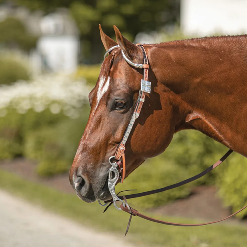 Western Headstalls