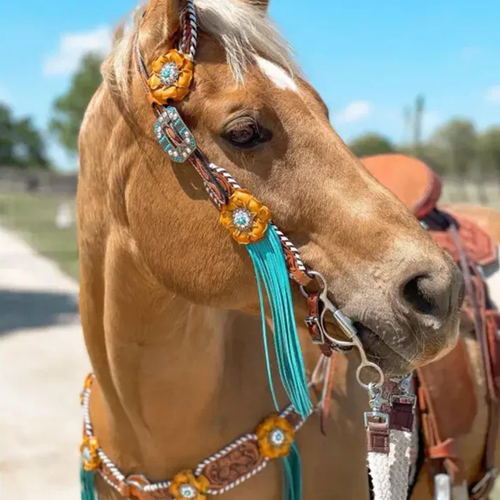 Western Tack Sets