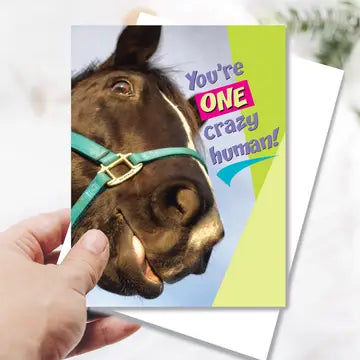 Horse Greeting Birthday Card