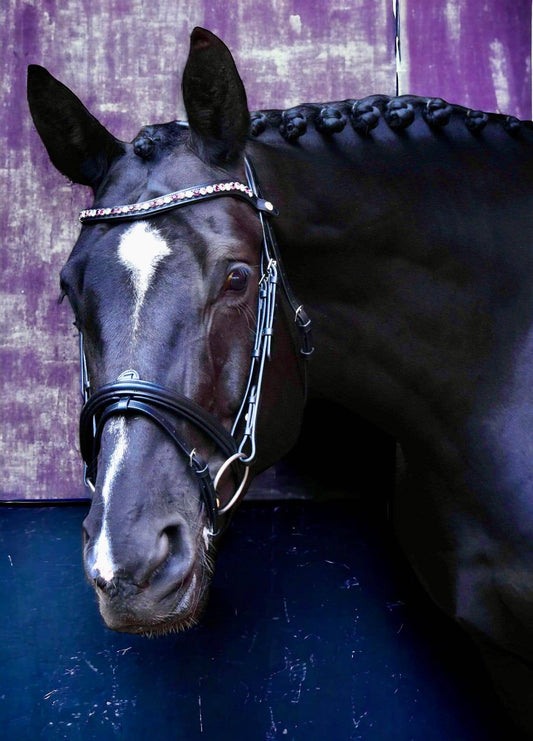 Bridle with quick snap browband on Italian leather