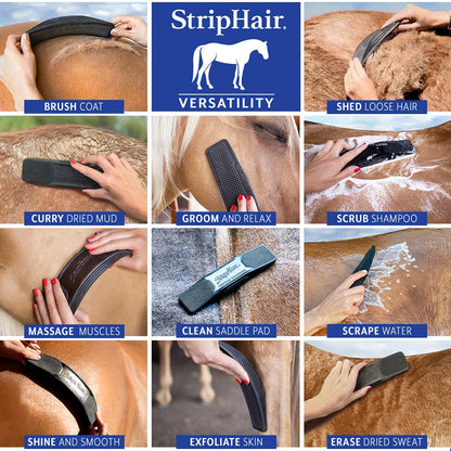 StripHair Horse Bundle 8pc