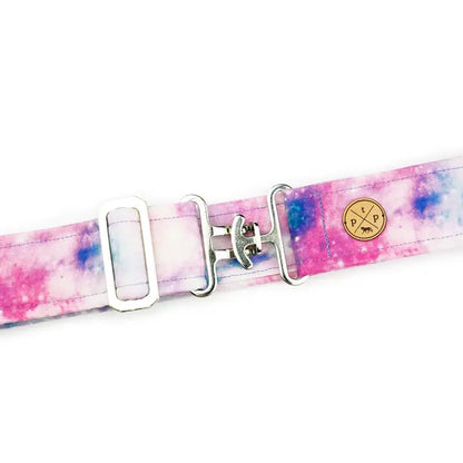 The Posh Pony Belts