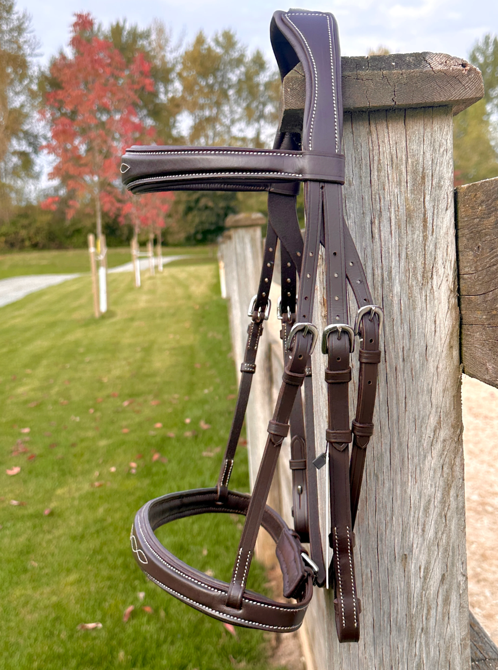 Wesley Fancy Stitch Taper  Bridle