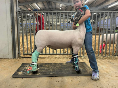 Livestock Fitting Stand Mat 51"x23"