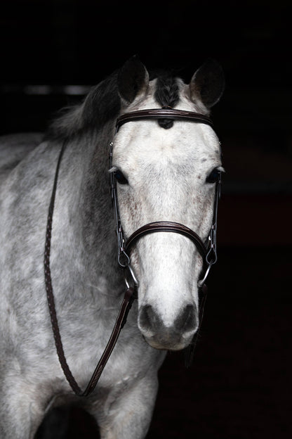 Arnold IV - Fancy Padded Leather Hunter Horse Bridle