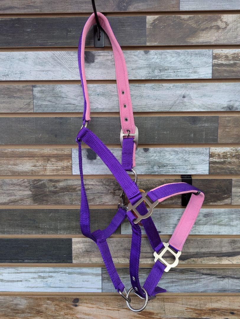 Tough1 Padded Purple & Pink Halter Full Purple