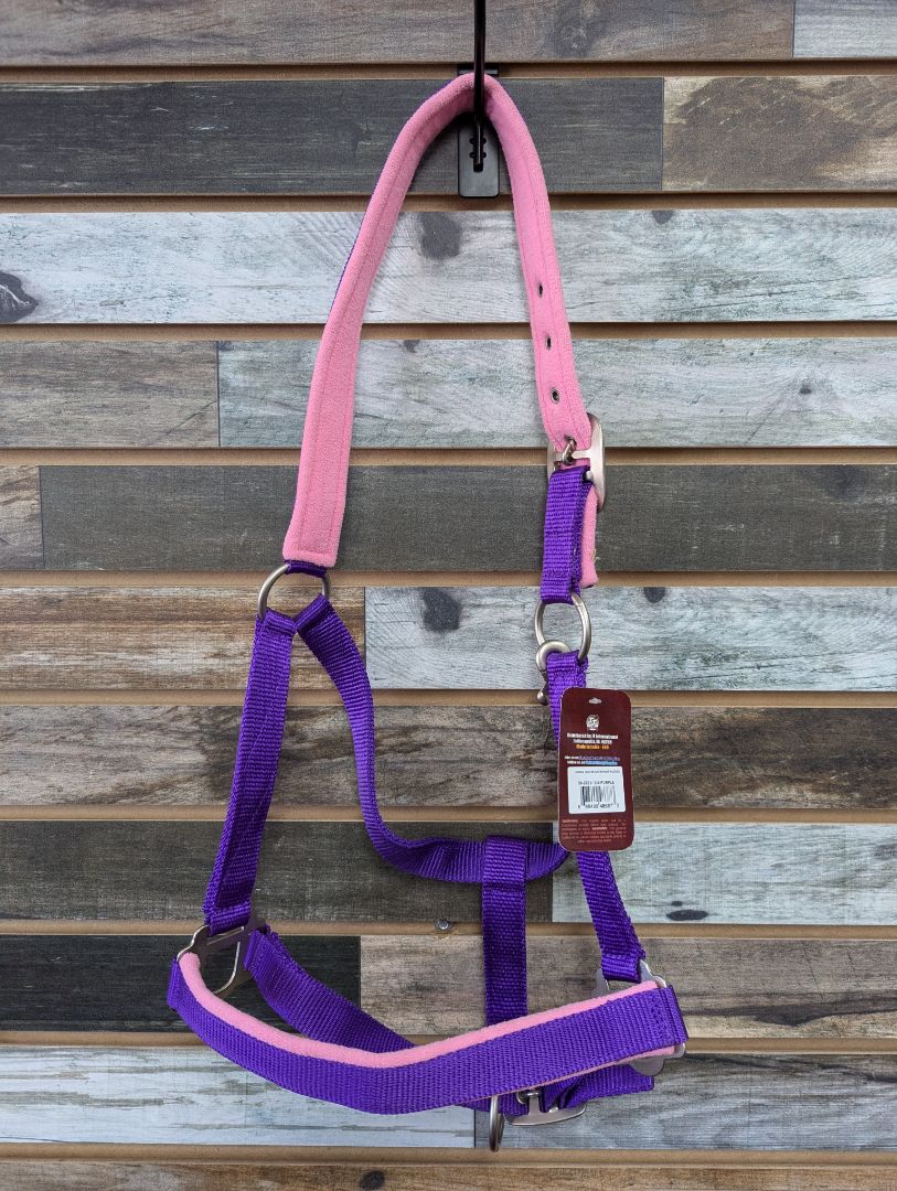 Tough1 Padded Purple & Pink Halter Full Purple