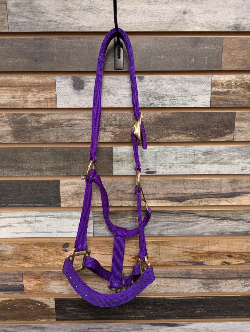 USED  Jeweled Halter Small Purple