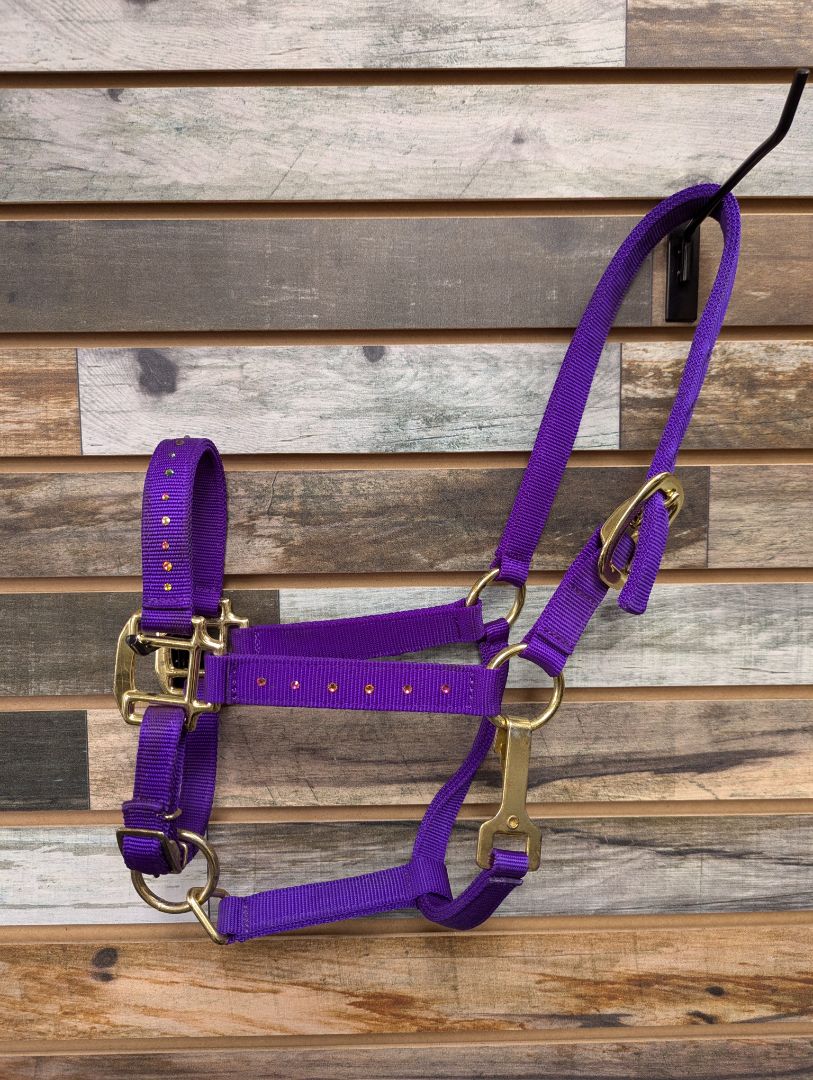 USED  Jeweled Halter Small Purple