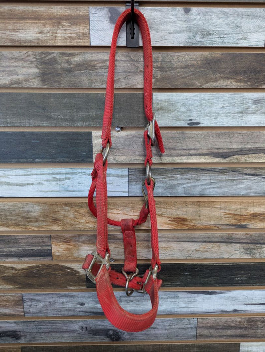 USED  Halter Horse Red