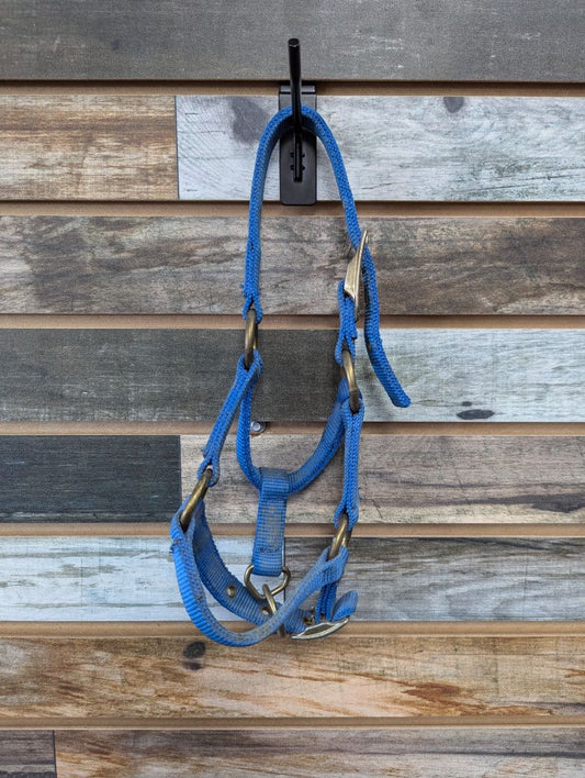 USED  Foal Halter Foal Blue