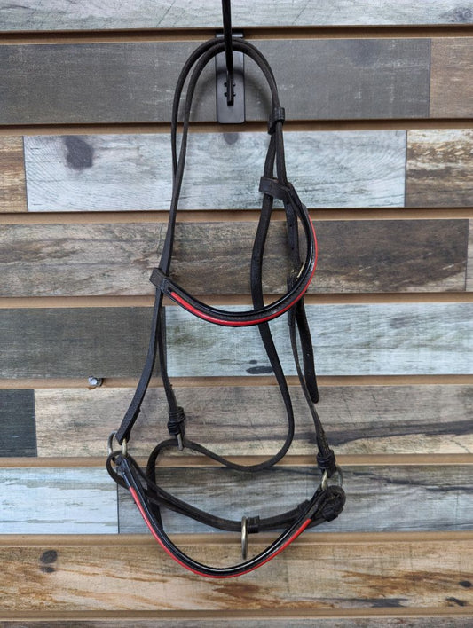 USED  Arabian Show Halter Arabian Black/Red