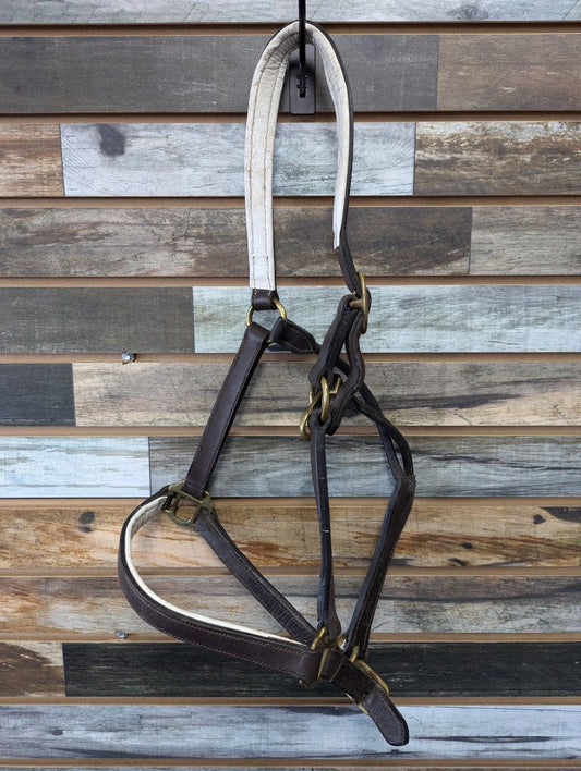 USED  Leather Halter Medium Dark Oil