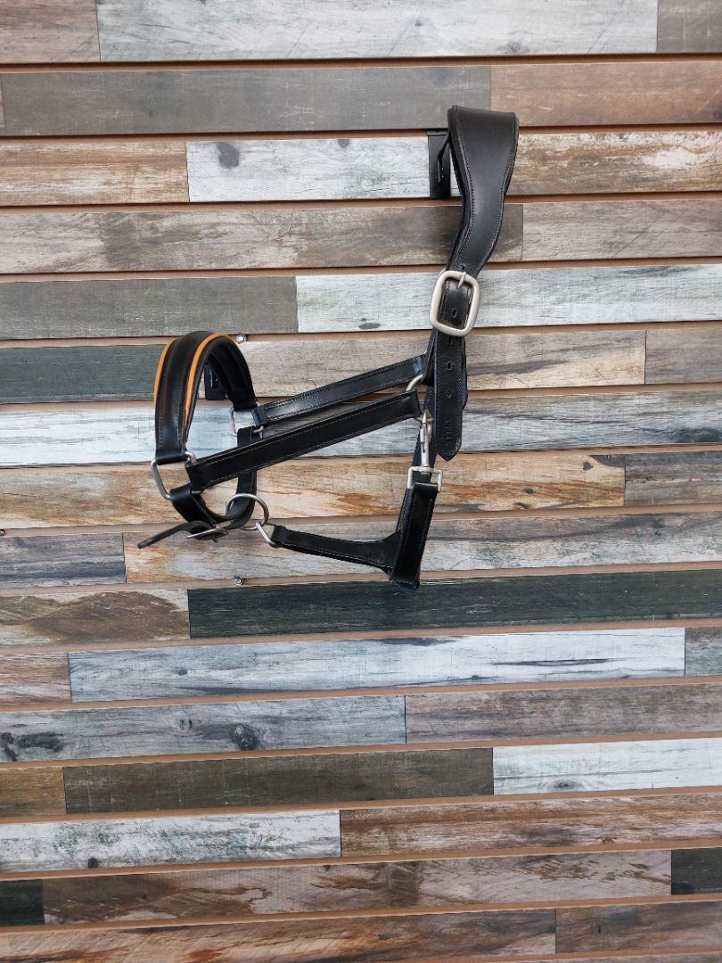 USED  Halter Leather XFull XFull Black
