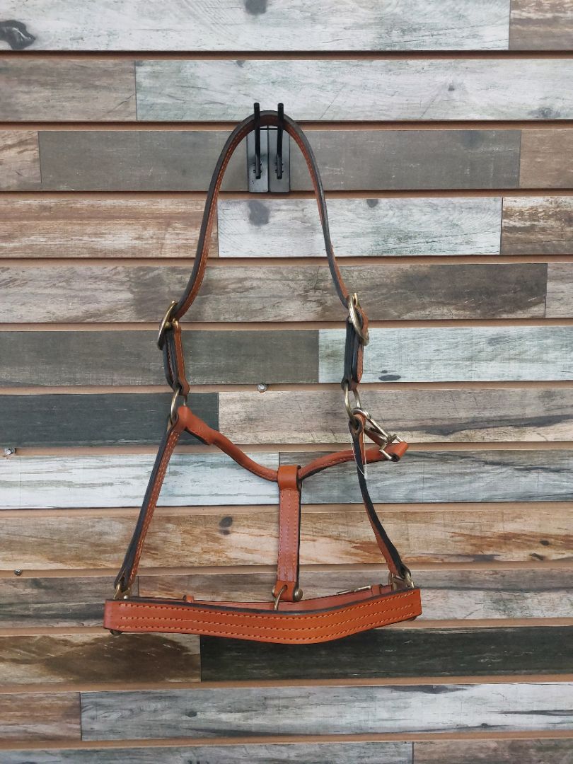 USED  Leather Halter Horse Light Oil