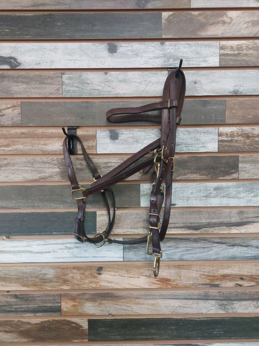 USED Tory Bridle/Halter Combo Horse Dark Oil