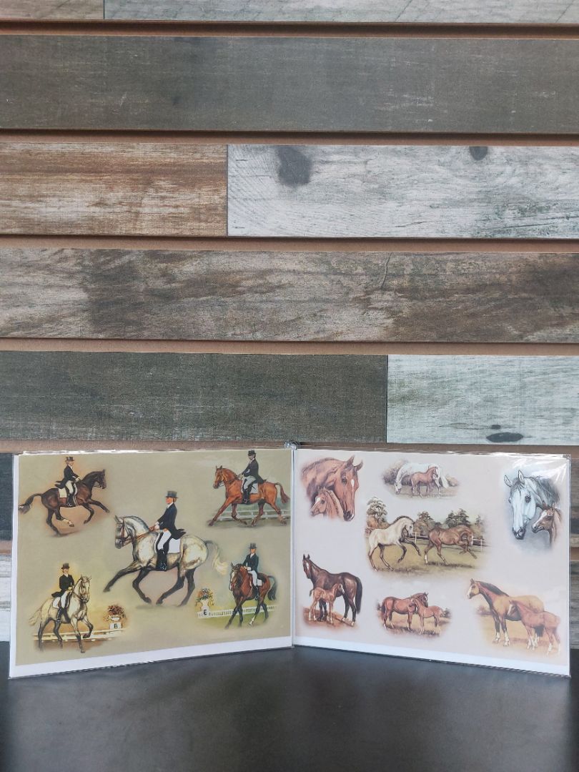 USED Animal Awareness Horse Cards Set 7 1/2” x 5 1/2” Tan/Brown