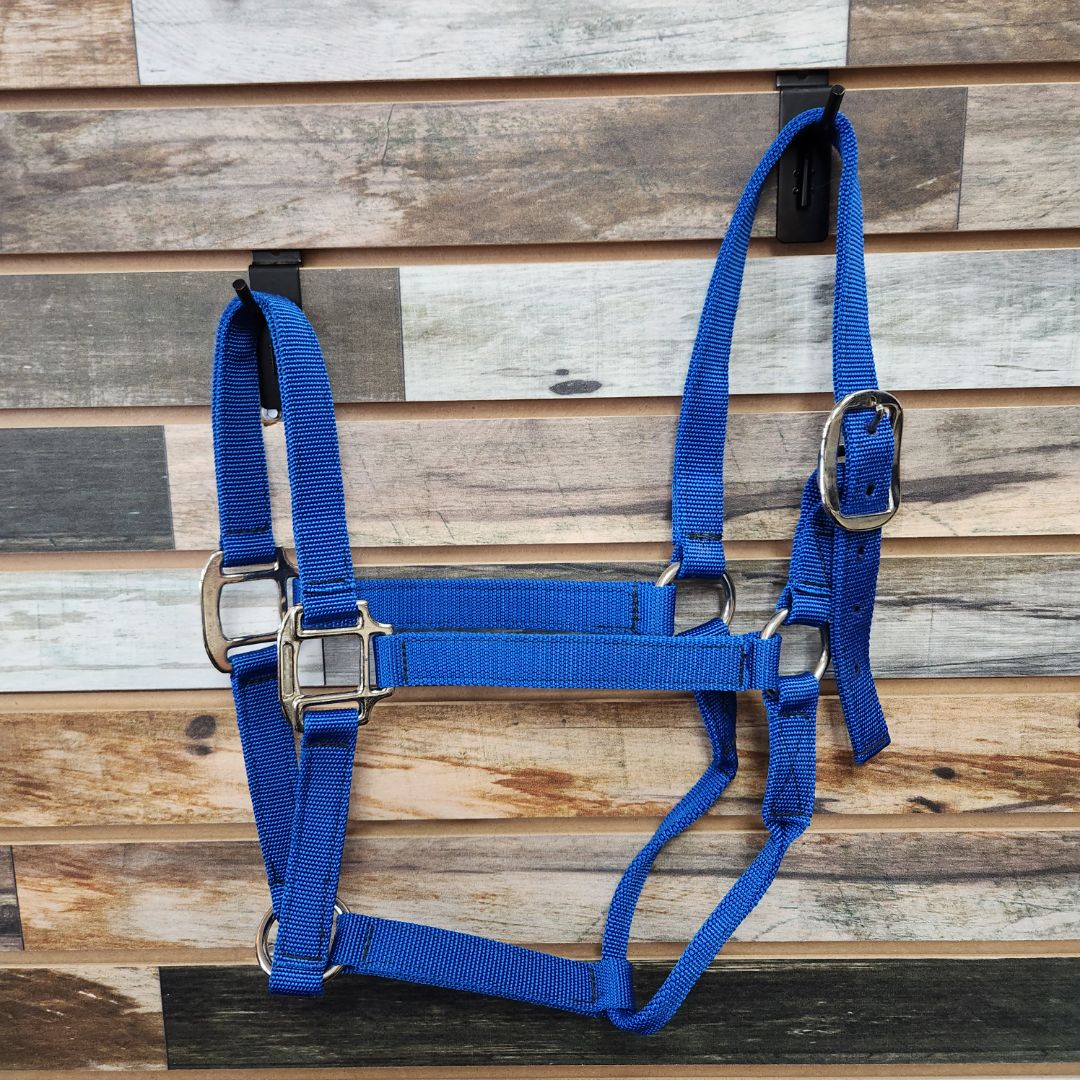 USED (New) Abetta Nylon Halter with Chrome Hardware Horse Blue