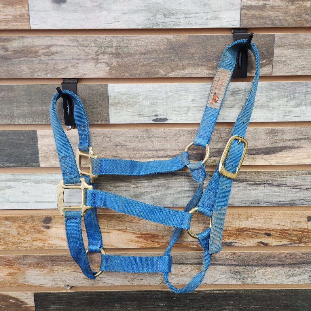 USED Weaver Nylon Halter w/ Brass Hardware Medium Blue